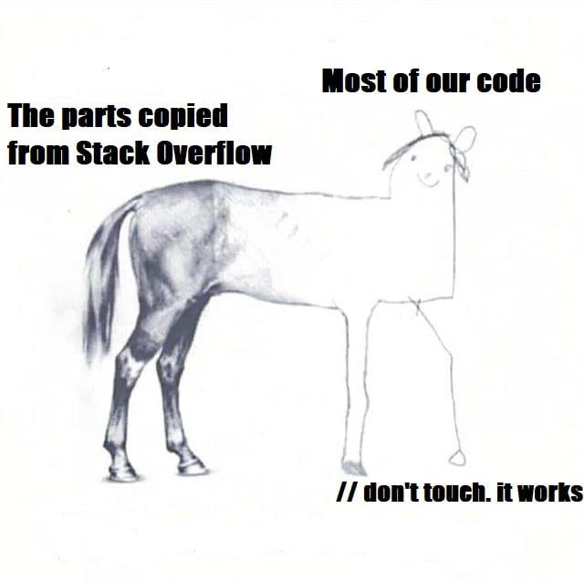 Anatomy of Software